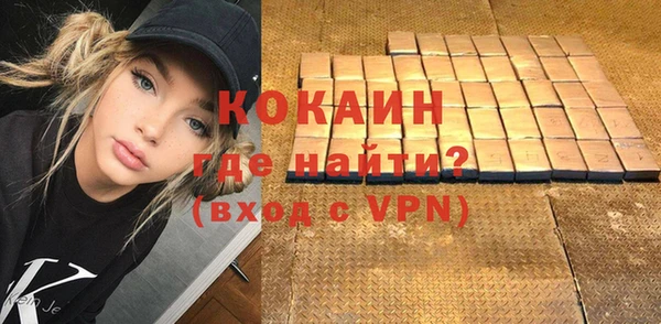 МДПВ Каменка
