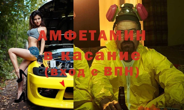 спиды Каменногорск
