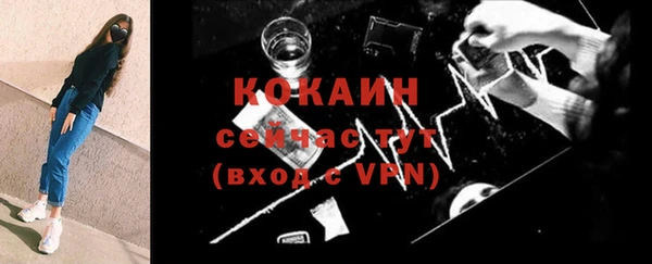 МДПВ Каменка