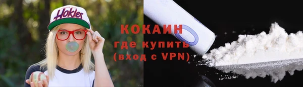 спиды Каменногорск