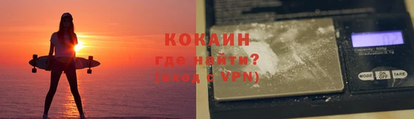 МДПВ Каменка
