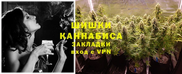 спиды Каменногорск