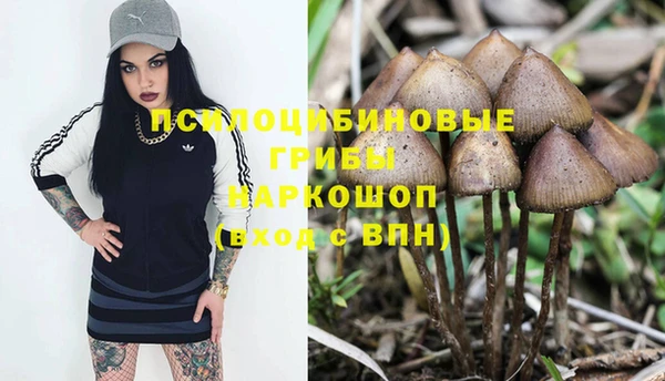 спиды Каменногорск