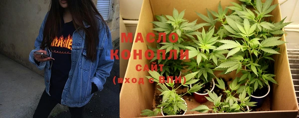 дмт Касимов