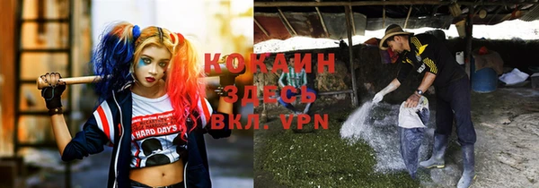 МДПВ Каменка