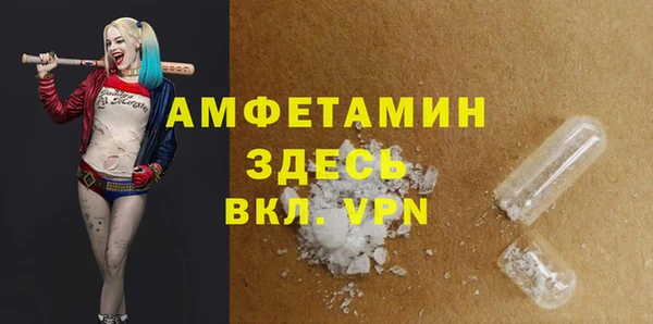спиды Каменногорск